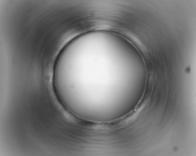 X0000103331418200809192154