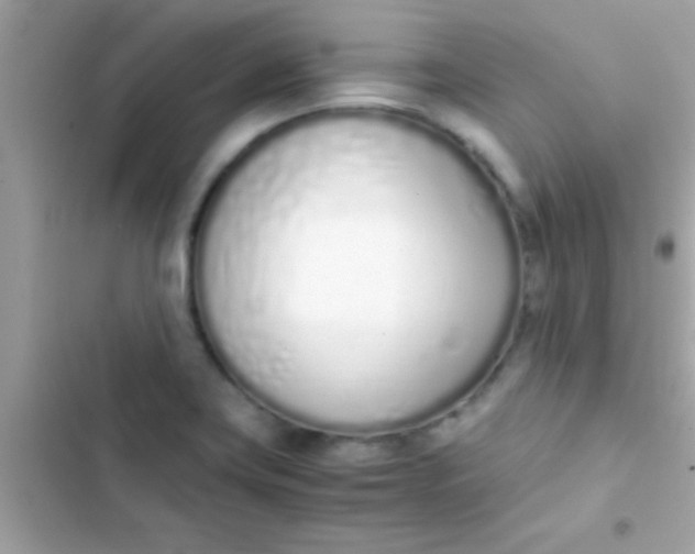 X0000103331419200809192154