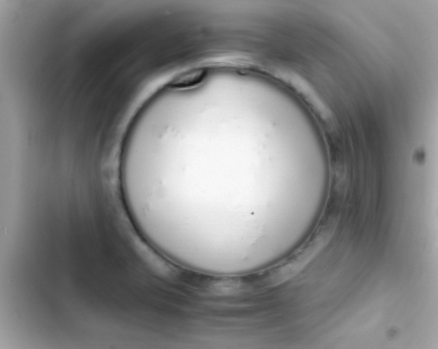 X0000103331421200809192154