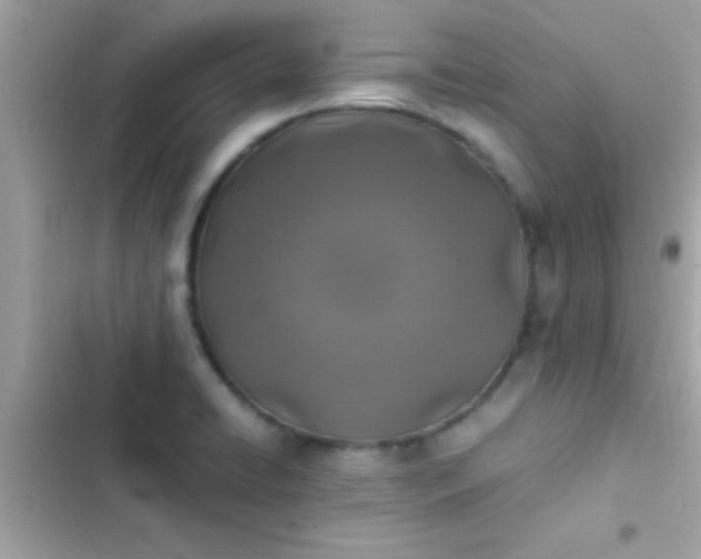 X0000103331422200809192154