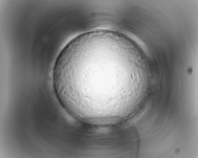 X0000103331423200809192154