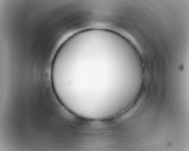 X0000103331424200809192154