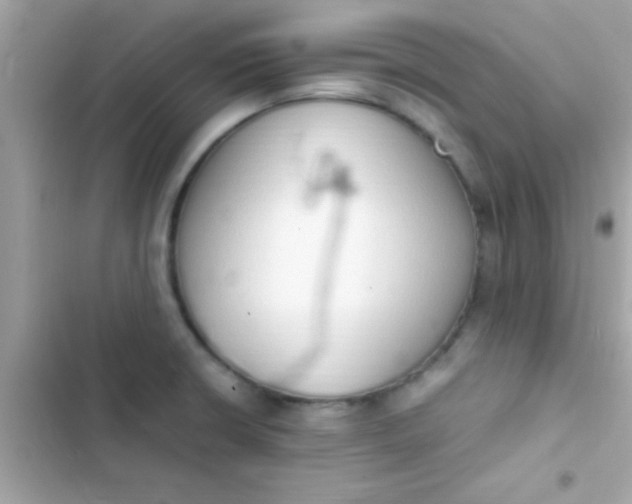 X0000103331426200809192154