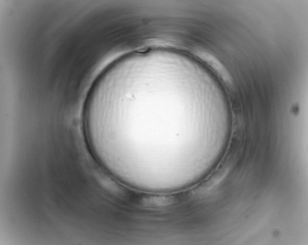 X0000103331427200809192154