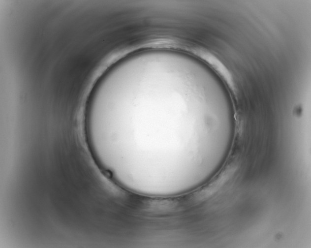 X0000103331429200809192154