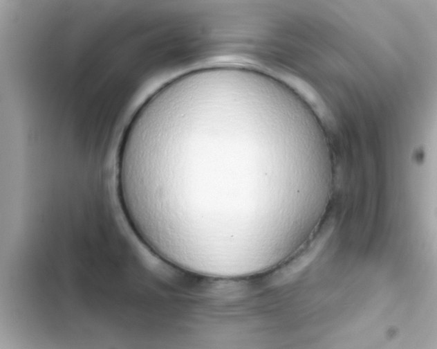 X0000103331430200809192154