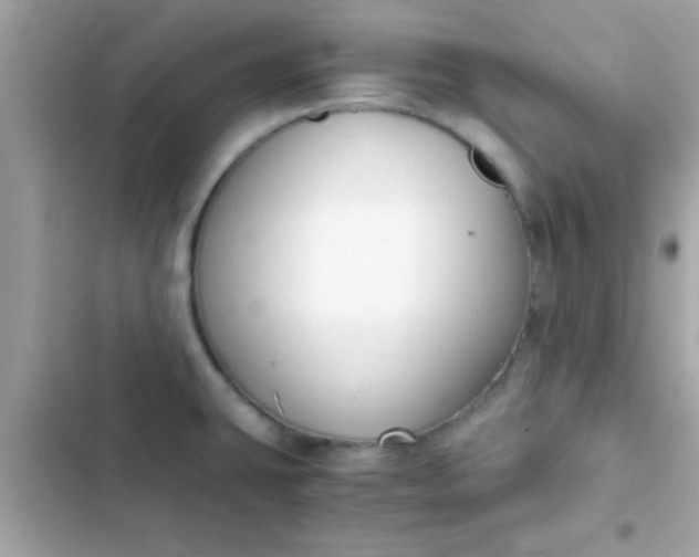 X0000103331431200809192154