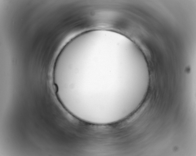 X0000103331432200809192154