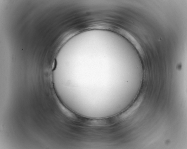 X0000103331433200809192154