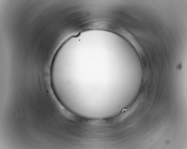 X0000103331434200809192154