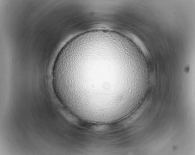 X0000103331435200809192154