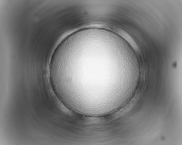 X0000103331436200809192154