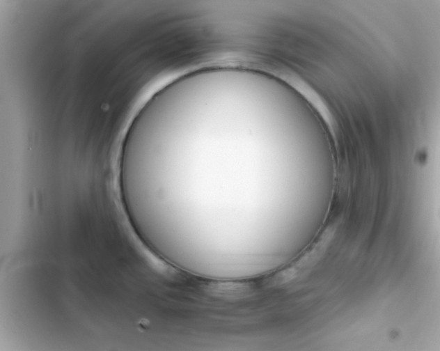 X0000103331437200809192154