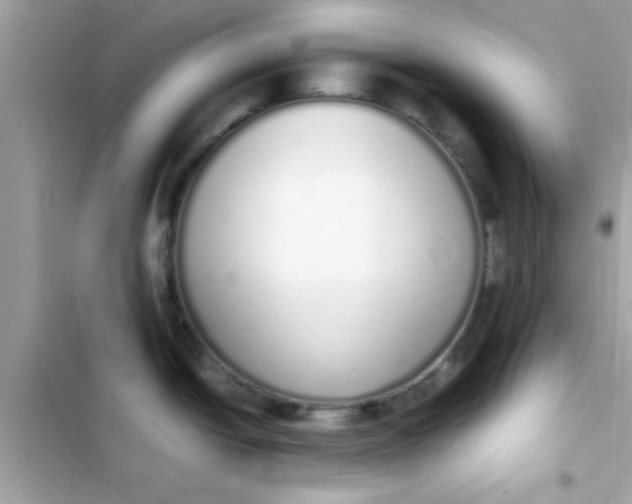 X0000103331438200809192154