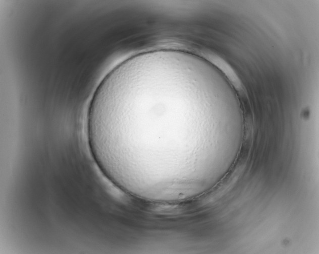 X0000103331439200809192154