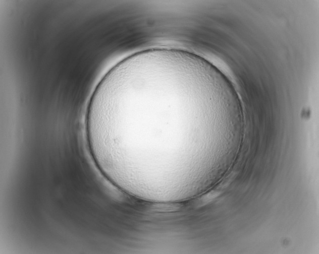 X0000103331440200809192154