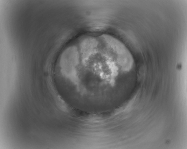 X0000103331441200809192153