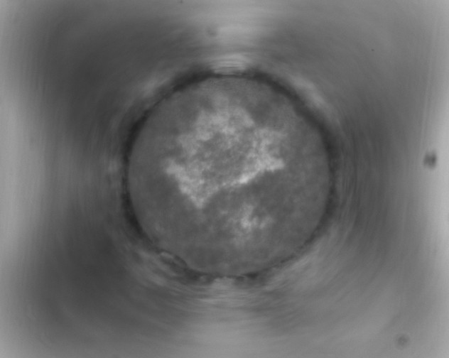 X0000103331445200809192153