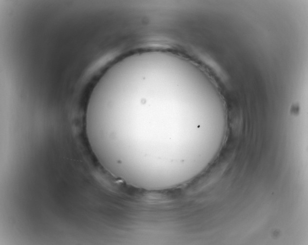 X0000103331448200809192153