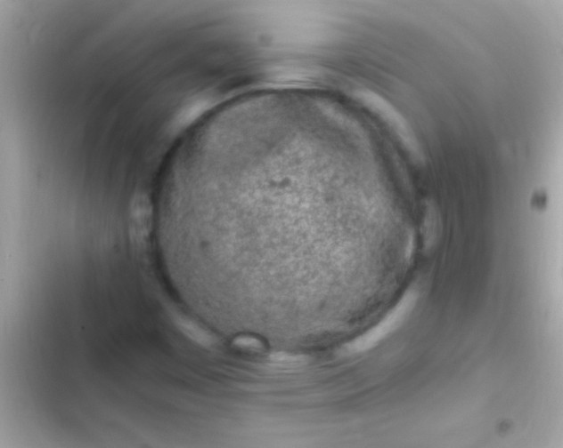 X0000103331449200809192153