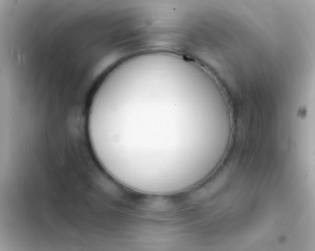 X0000103331450200809192153