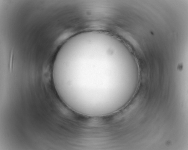 X0000103331451200809192153