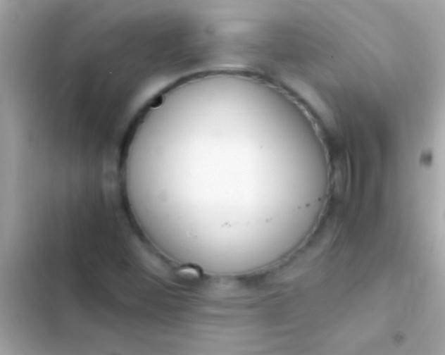 X0000103331452200809192153