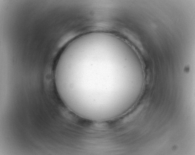 X0000103331453200809192153