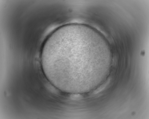 X0000103331454200809192153