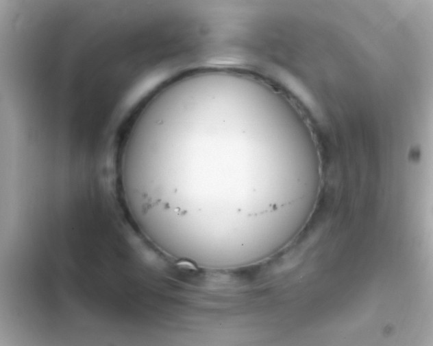 X0000103331456200809192153