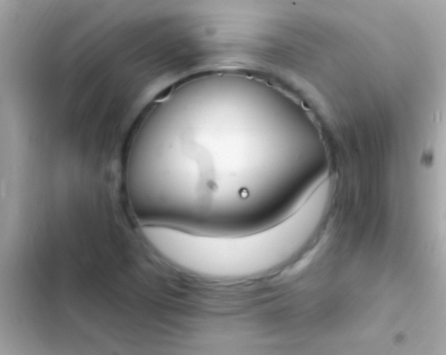 X0000103331457200809192153