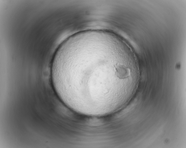 X0000103331459200809192153