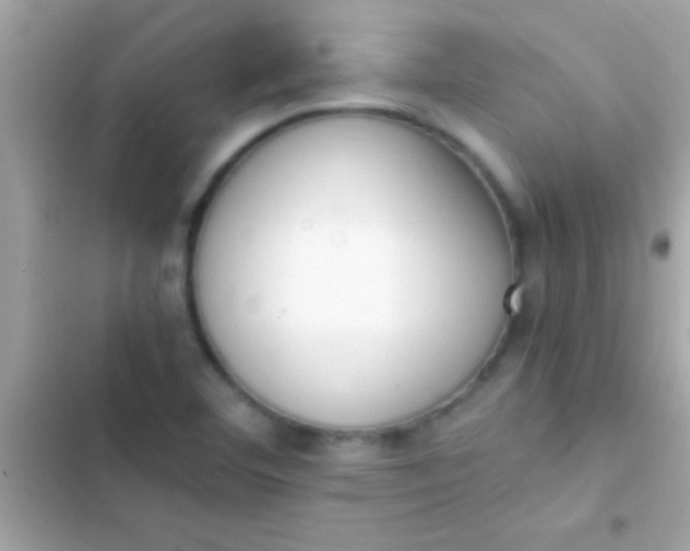 X0000103331460200809192153