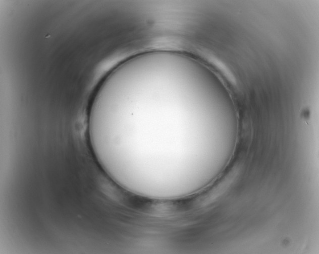 X0000103331461200809192153