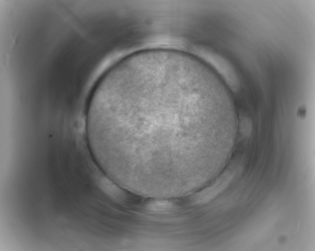 X0000103331462200809192153