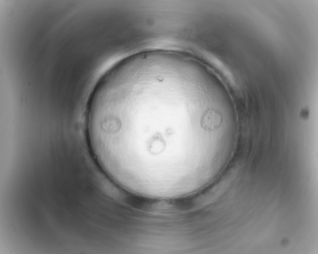 X0000103331463200809192153