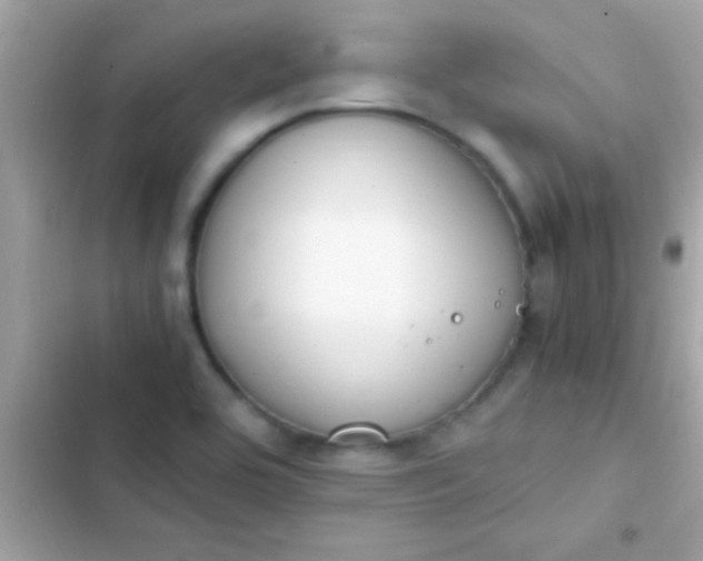 X0000103331464200809192153