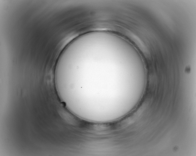 X0000103331465200809192153