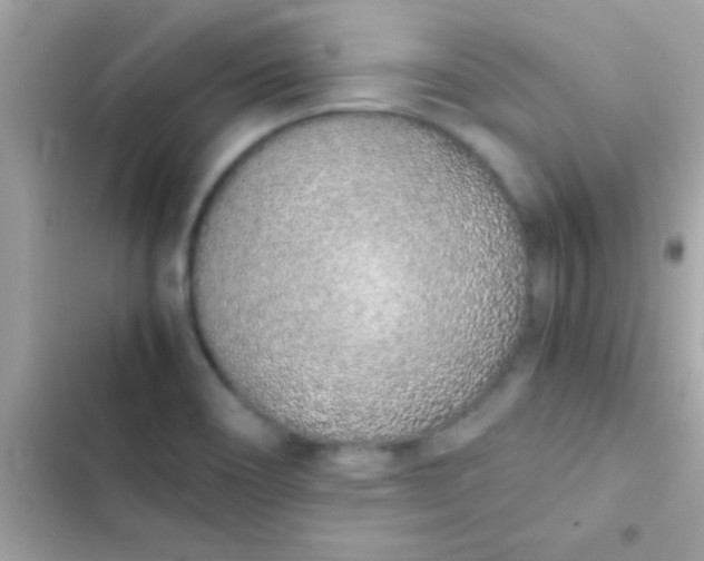 X0000103331466200809192153