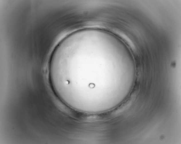 X0000103331467200809192153