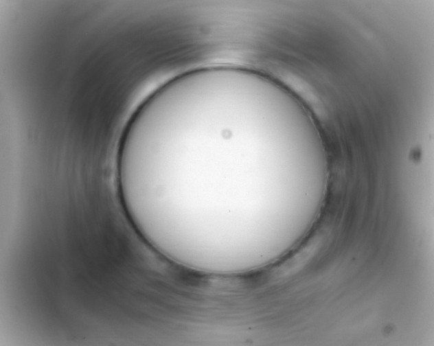 X0000103331469200809192153