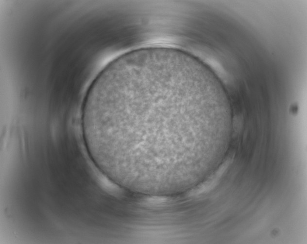 X0000103331470200809192153