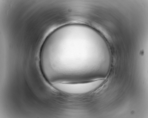 X0000103331471200809192153