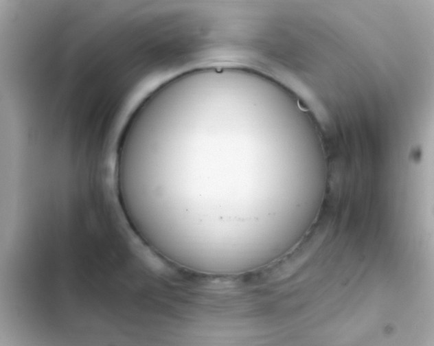 X0000103331472200809192153