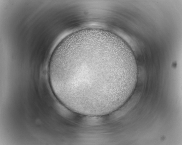 X0000103331474200809192153