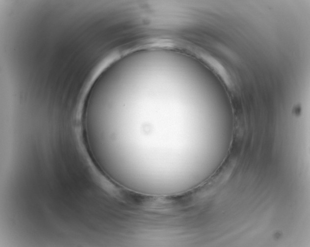 X0000103331475200809192153