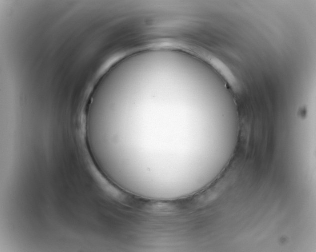 X0000103331476200809192153