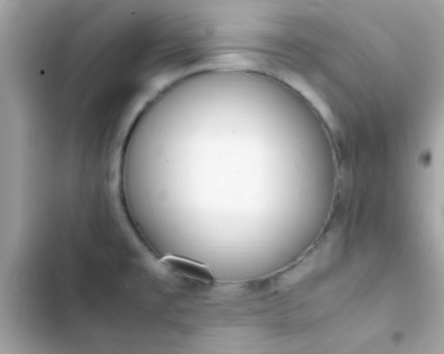 X0000103331477200809192153