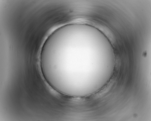 X0000103331478200809192153