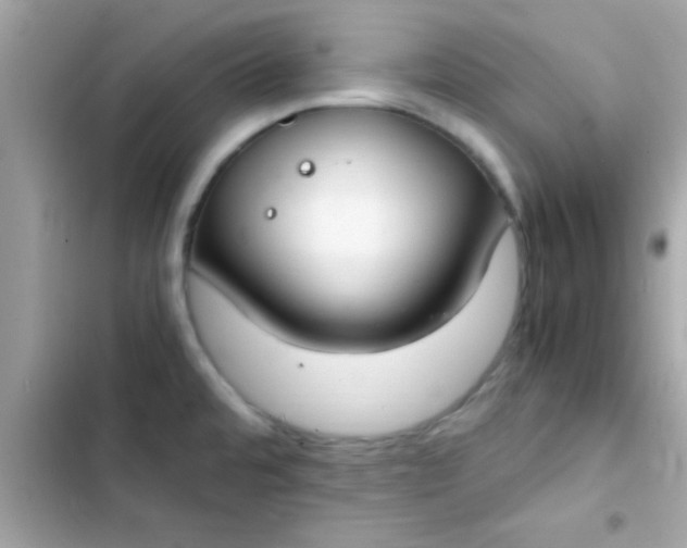 X0000103331480200809192153